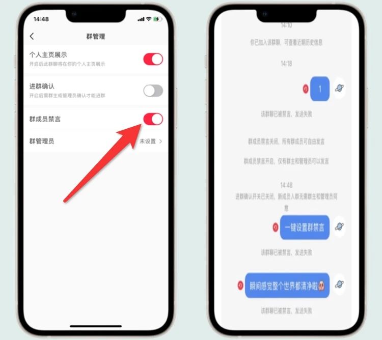 图片[4]-小红书虚拟项目，一单200，日赚1000+-87副业网